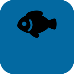 Fish Hunter